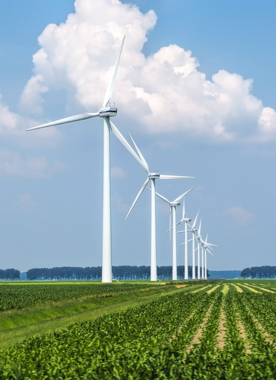 乐宝体育·(中国)官方网站